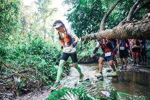 BIB: 
                            <button type="button" onclick="openModal(25463168)" class="btn btn-primary btn-sm float-right btn-popup" data-toggle="modal" data-target=".modal-high-quality">
                        <i class="fas fa-shopping-cart"></i> Add to Cart
                    </button>
                                            <button type="button" onclick="isThisMe(25463168, true)" class="btn btn-success btn-sm float-right btn-popup btn-isme hidden" data-toggle="tooltip" data-placement="bottom" title="นี่คือรูปของคุณใช่ไหม คลิกที่นี่เพื่อเอาเข้าอัลบั้ม">
                        <i class="fas fa-plus"></i> Add to album
                    </button>
                    <button type="button" onclick="isThisMe(25463168, false)" class="btn btn-warning btn-sm float-right btn-popup btn-isnotme hidden">
                        <i class="fas fa-ban"></i> Remove from album
                    </button>